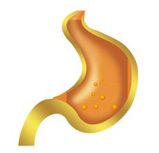 θϢ�����������ɵģ�